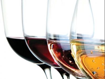 Paradocx Vineyard Wine Tasting