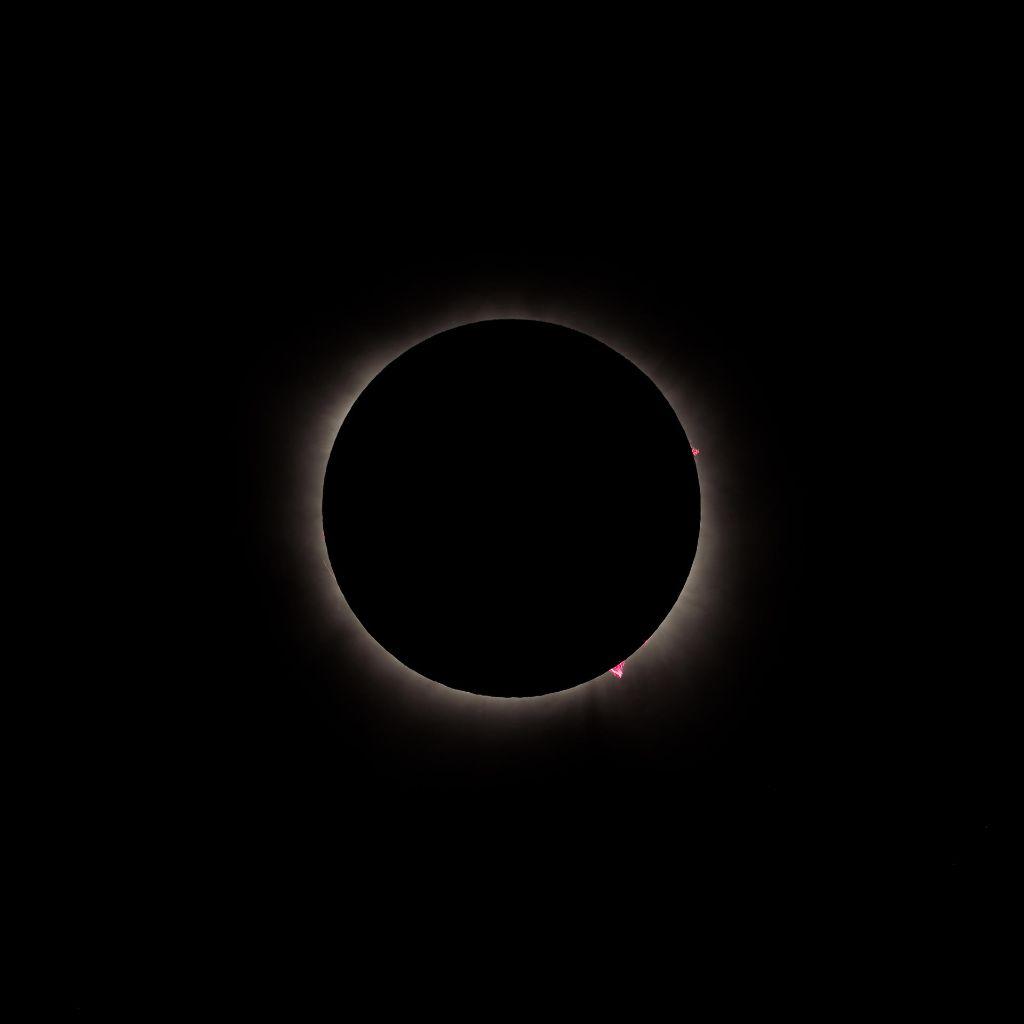Solar Eclipse Photography Print - ''Prominences''