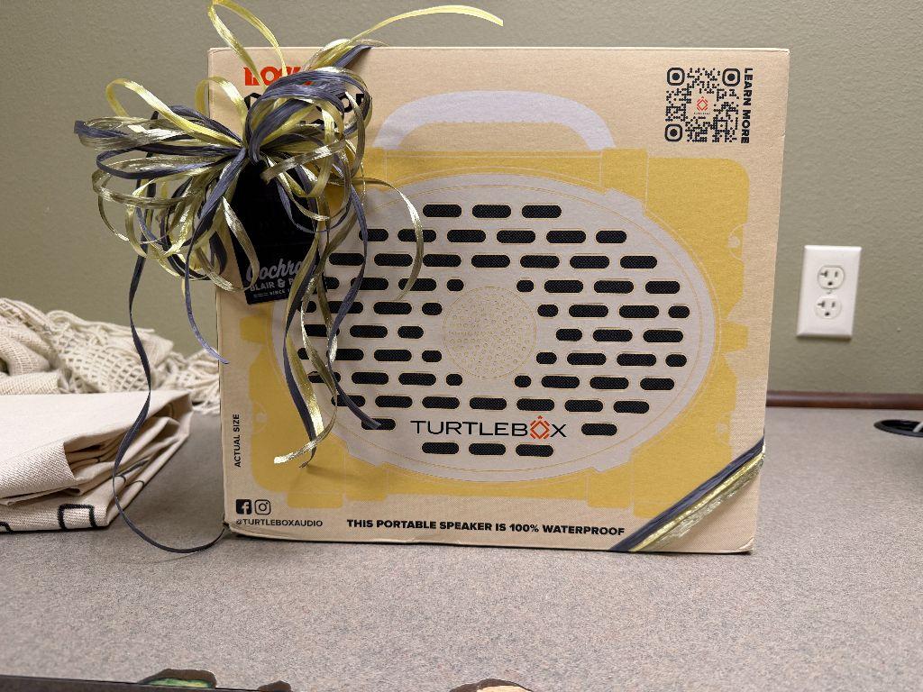 Turtlebox Loud Outdoor Speaker