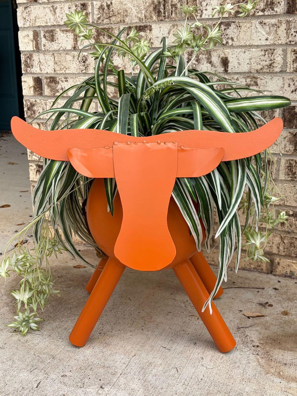 Longhorn Planter