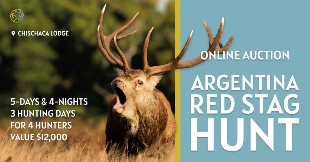 Argentina Big Game Hunting Trip for Four (4)