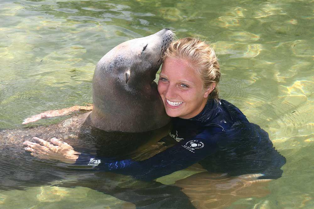 Theater of the Sea Sea Lion Swim for Two (2)