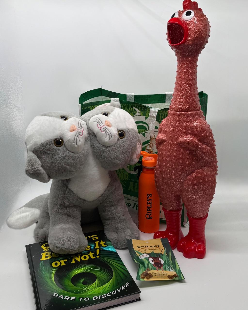 Ripley's Believe it or Not! Orlando Gift basket