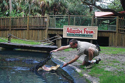 St. Augustine Alligator Farm One Day Adventure Pass ...