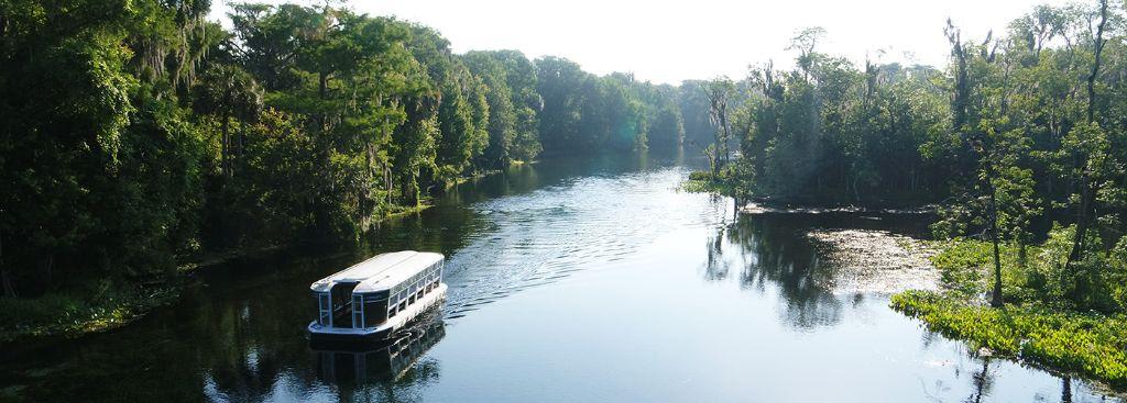 Silver Springs Extended Glass Bottom Boat Tour!