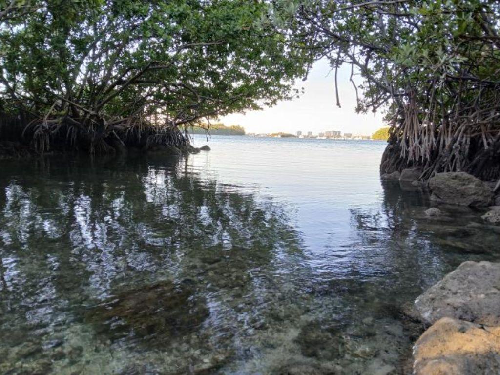 Oleta River Two Hour Kayak Rental for Two (2)