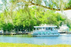 Blue Springs 2 Hour St. Johns River Nature Cruise