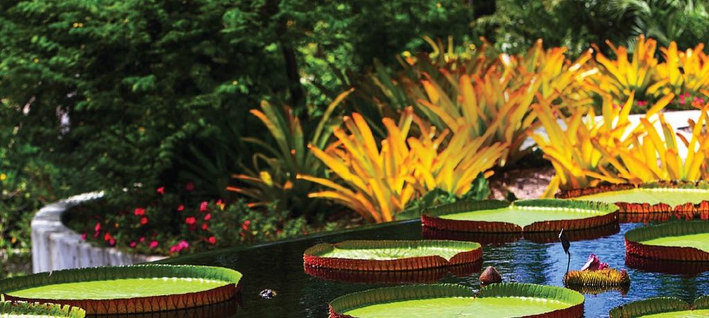 Four (4) General Admission Passes - Naples Botanical...