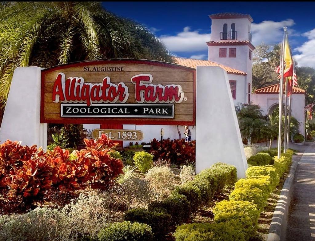 St. Augustine Alligator Farm One Day Adventure Pass ...