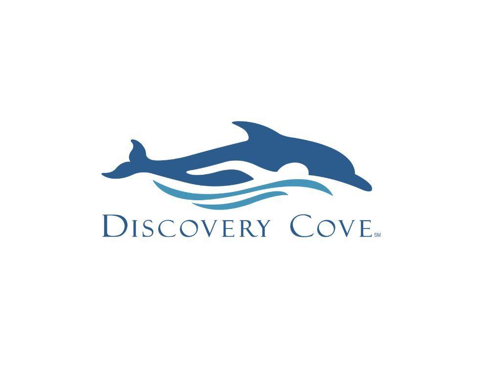 Discovery Cove Orlando Dolphin Swim Package for Four...