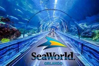 SeaWorld Orlando Single Day tickets for Four (4)