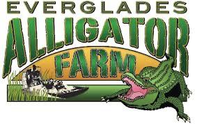 Alligator Encounter at Everglades Alligator Farm