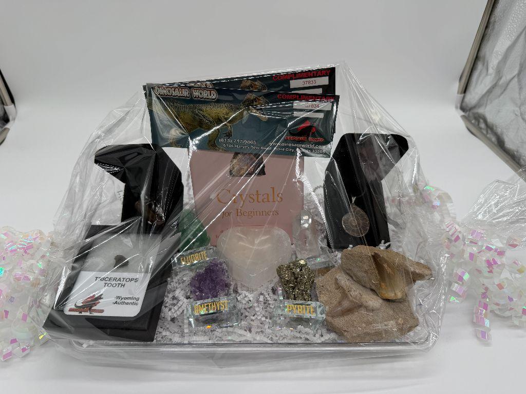 Fossil & Gem Treasures Gift Basket