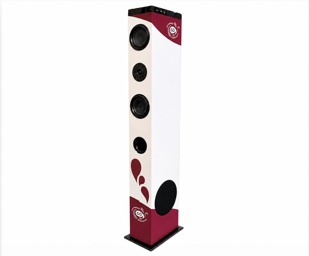 Channel Wooden Speaker