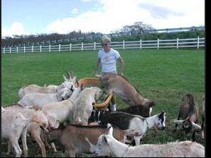 Grand Dairy Tour for Two Persons