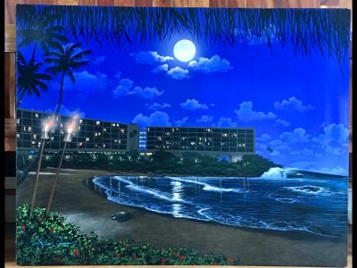 35x45 Turtle Bay