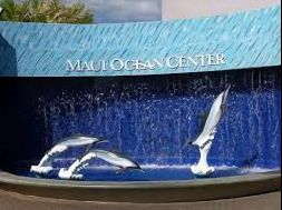 1 Annual Family Pass to Maui Ocean Center