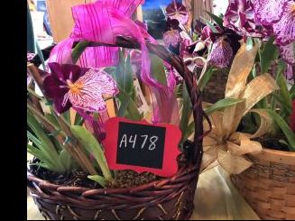 Orchid Basket Arrangement Purple Bow