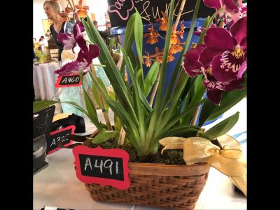 Orchid Basket Arrangement