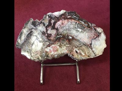 Petrified Wood Slab with Metal Stand