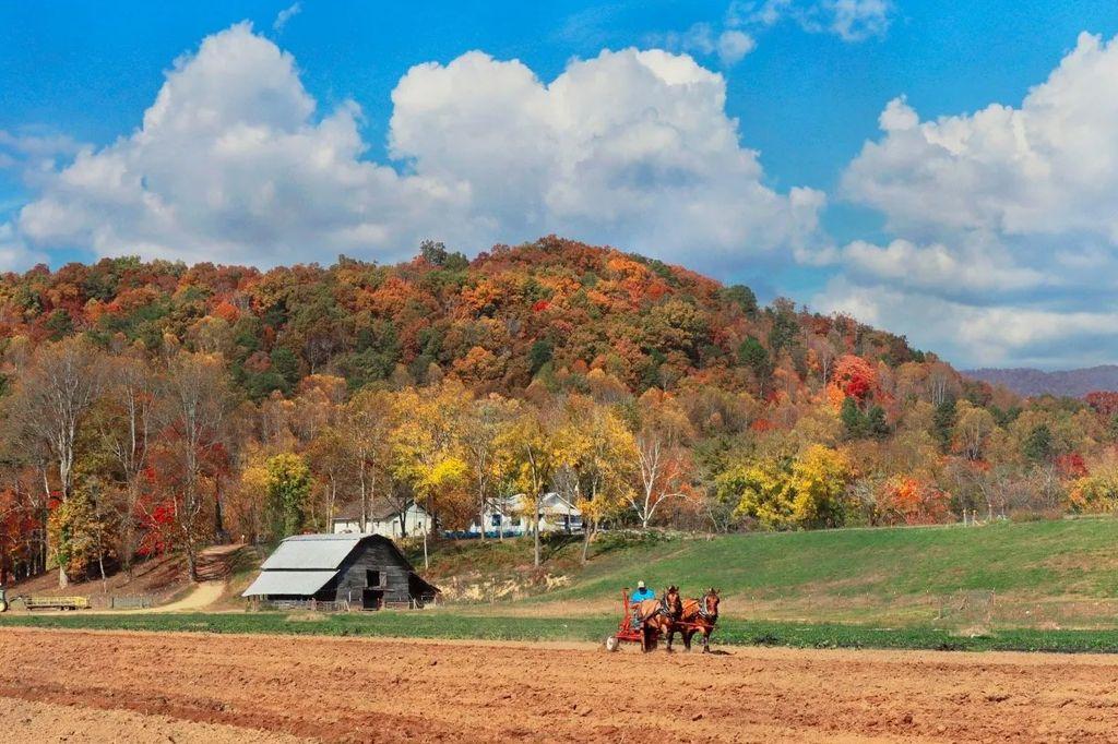 Hayride to the Pumpkin Patch