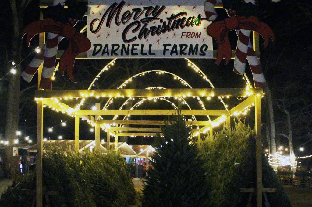 Winter Wonderland Hayride