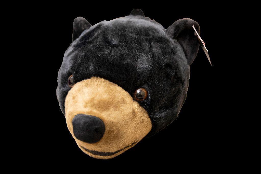 Black Bear, Black Bear, What Do You See?