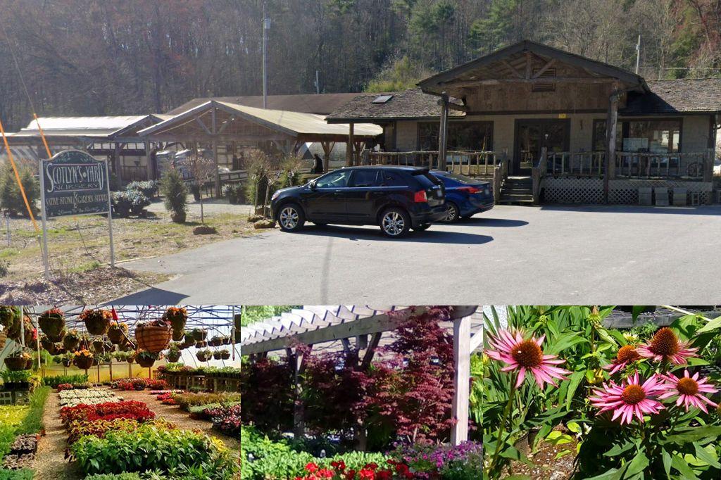 Scotlyn's Yard Nursery