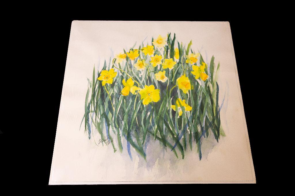 Daffodils