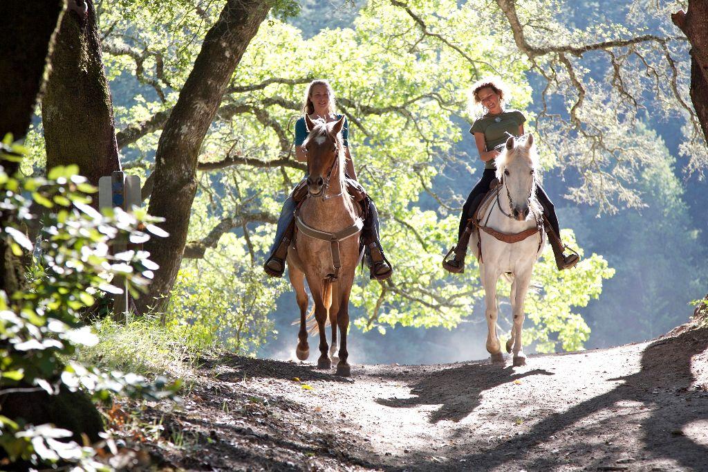 Equestrian Adventure