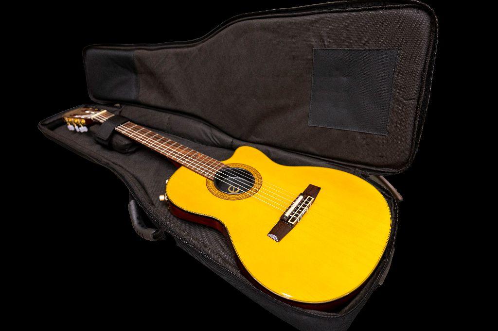 Epiphone Chet Atkins Acoustic/Electric Guitar
