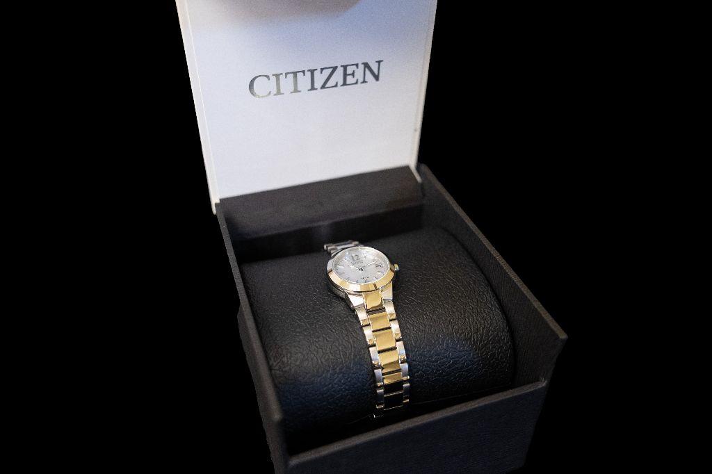 Citizen Luxury Watch