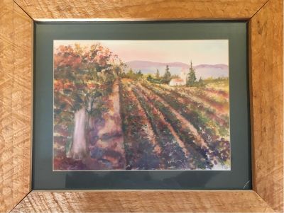 Framed Print - Vineyard and Church
