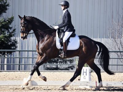 Two Hour Horsemanship Lesson with Micaela