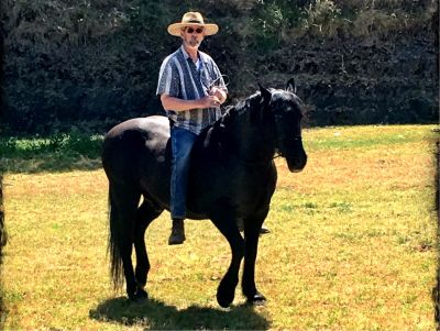 2 Hour Private Horsemanship Lesson with DAR