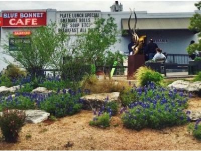 Blue Bonnet Cafe Gift Card