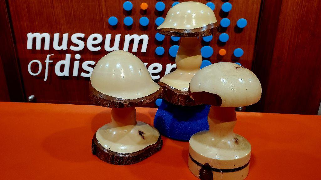 Pecan Mushrooms