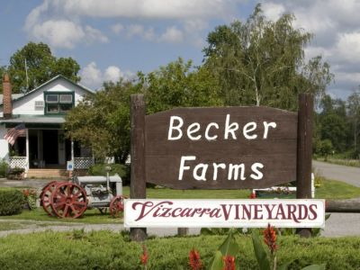 Becker Farms Wine Tasting Party for 20