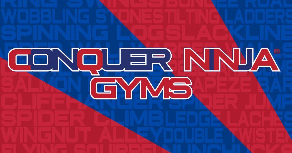 4 Passes to Conquer Ninja Gyms