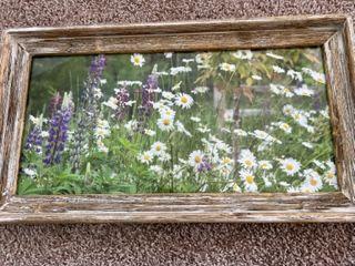 ''Summer Daisies'' Framed Photograph