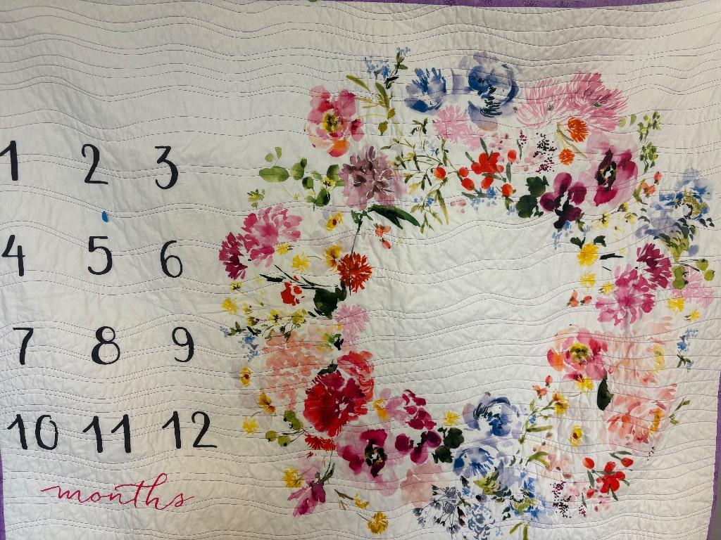 Baby Milestones Quilt