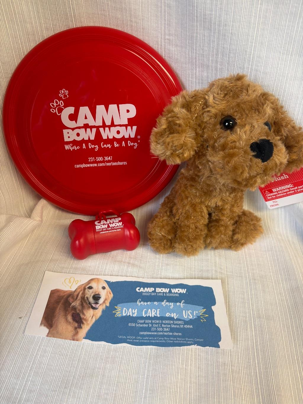 Doggie Day Care and More
