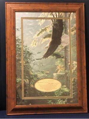 Framed Eagle Art Print