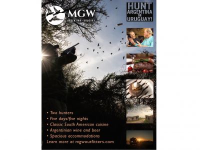 Dove Hunt in Argentina or Uruguay!