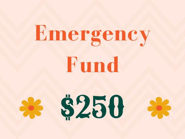Emergency Fund ($250)