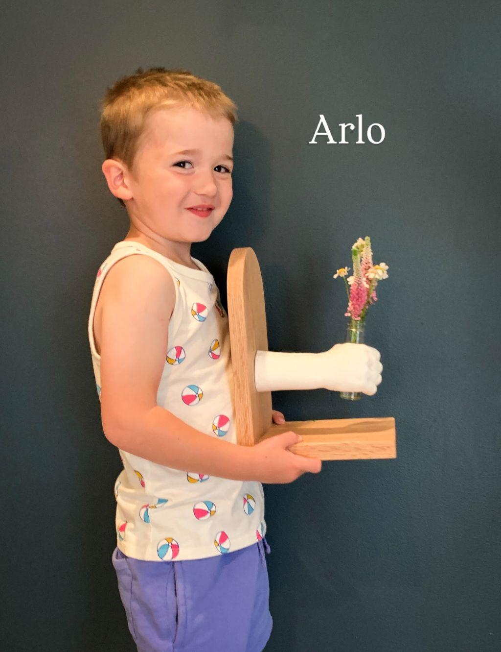 Student Art-Libelulas-Arlo