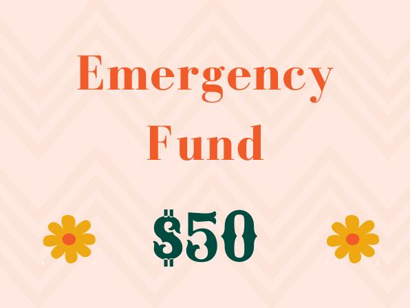 Emergency Fund ($50)
