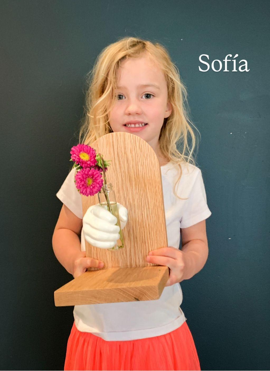 Student Art-Libelulas-Sofia