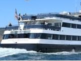 Harbor Cruise or Whale Watching....which to chose....