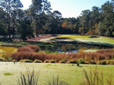 Pine Needles Golf Foursome